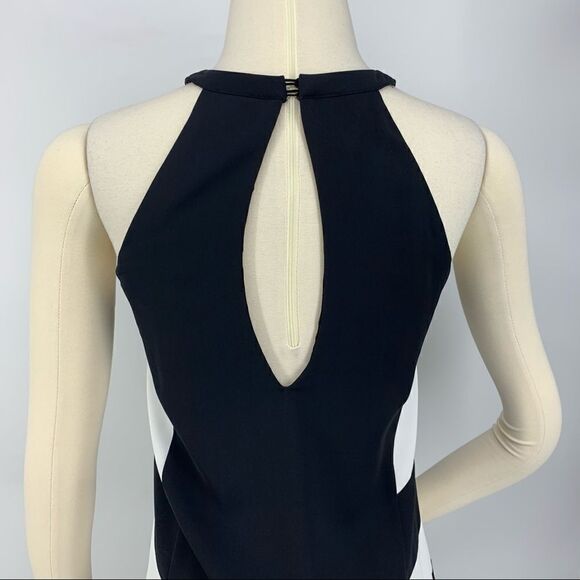 Parker New Parkdale Sleeveless Halter Keyhole Shift Cocktail Dress [XS] - Picture 8 of 13